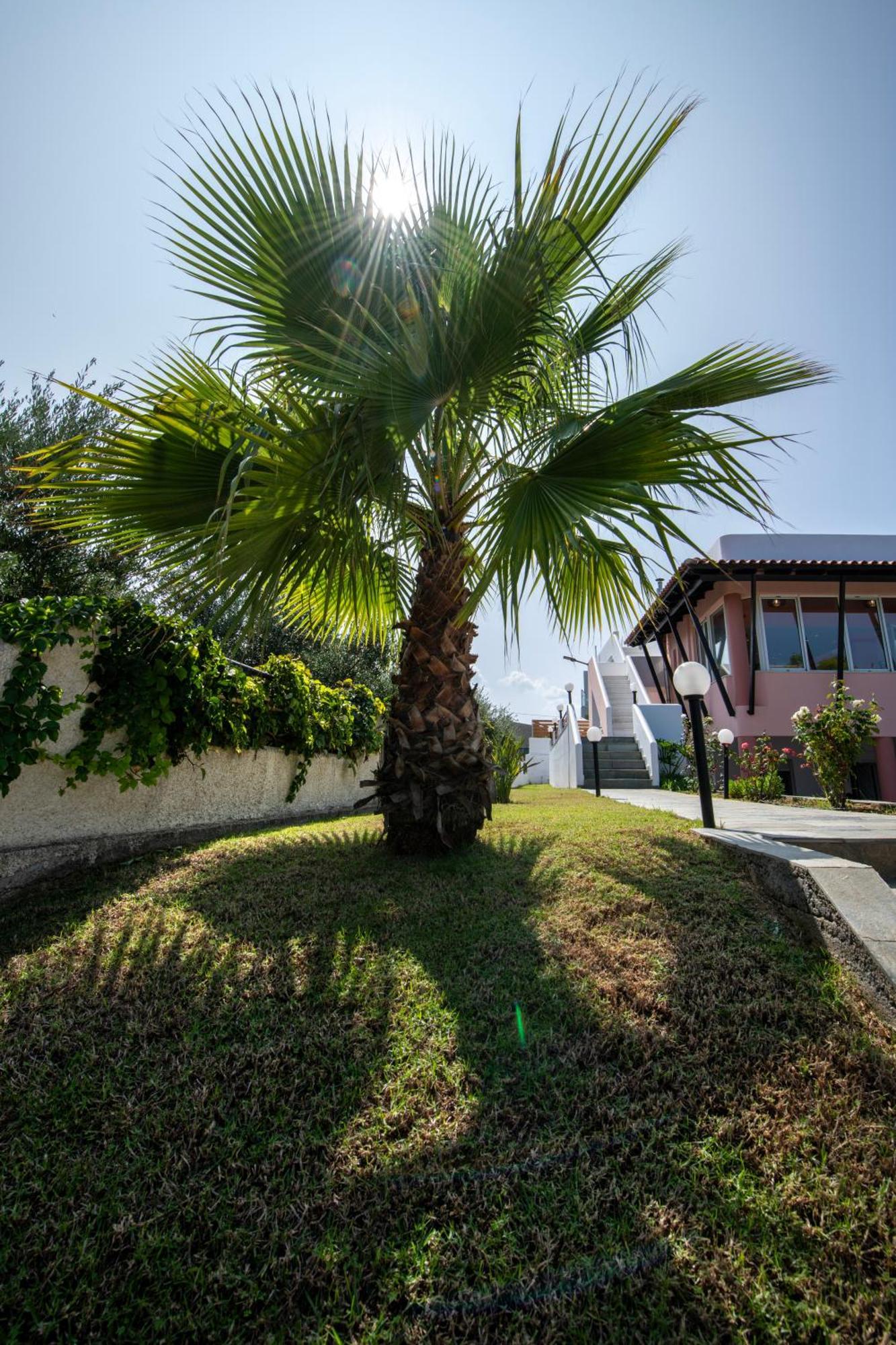Villa Eleni 100M From The Sea Rapanianá Exterior photo